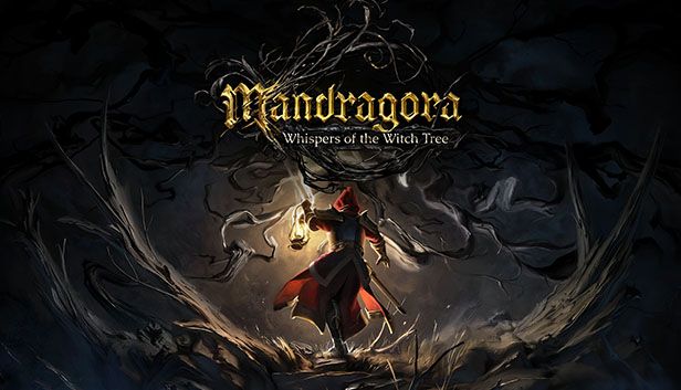 mandragora mandragora