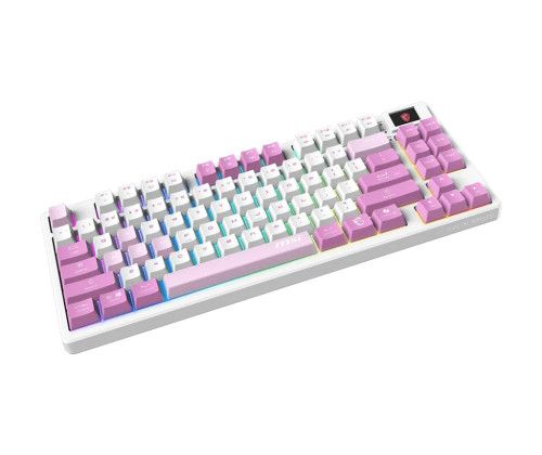 MSI FORGE GK600 TKL WIRELESS blanc rose violet gaming gamer sans fils mécanique switch red