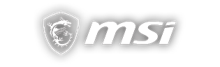MSI